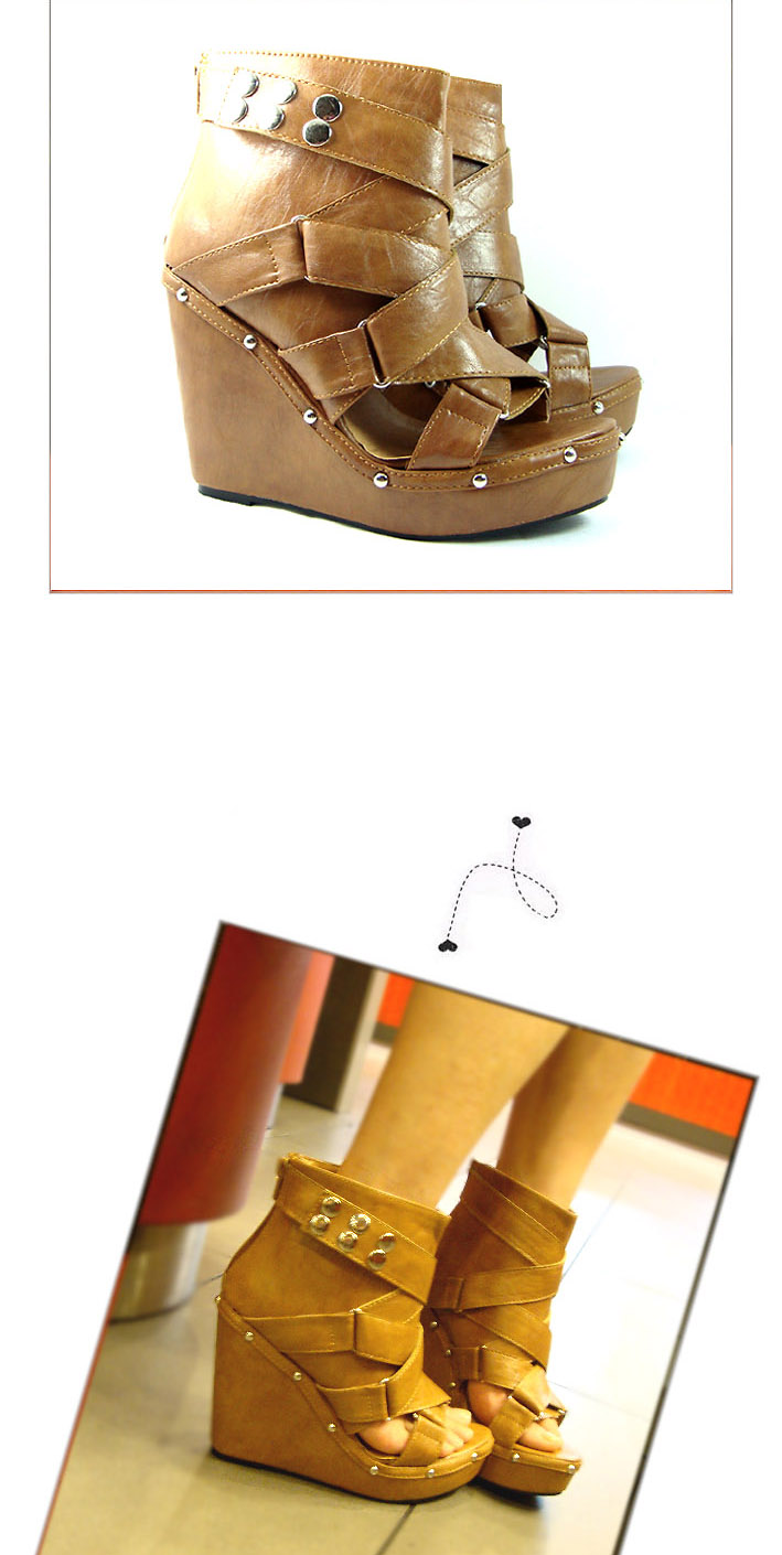 ����� ��������� �� ���������